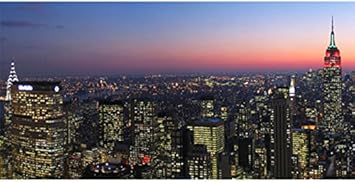 Bn0262 Manhattan Skyline New York City Banner Flag Sign Office Products Amazon Com