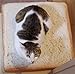 Pet Sofa Bread Cushion Pillow,Cat Cushion Mat (23.7 in X 23.7 in)