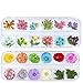 MissBabe 2Pack/24 Different Colors Natural Real Dried Flowers Nail Art Decoration Sticker for 3D Nail Art Acrylic UV Gel Tips