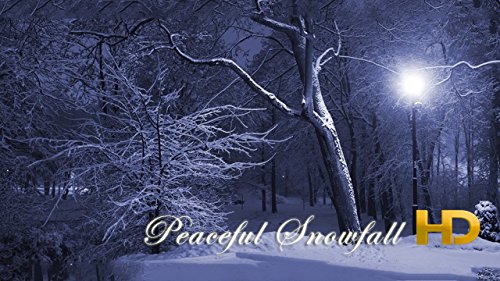 Peaceful Snowfall HD