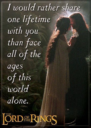 Lord of the Rings - Arwen and Aragorn Share Lifetime - Refrigerator Magnet