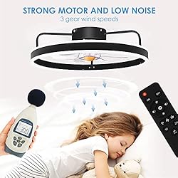 Mpayel Low Profile Ceiling Fans with Lights Remote