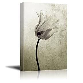 Canvas Print Wall Art - Transparent Tulip in Back Light on Rustic Background - Gallery Wrap Modern Home Art | Ready to Hang - 12x18 inches