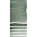 Daniel Smith Extra Fine Watercolor Paint, 15ml Tube, Rare Green Earth, 284600181, 0.5 Fl Oz (Pack of 1)