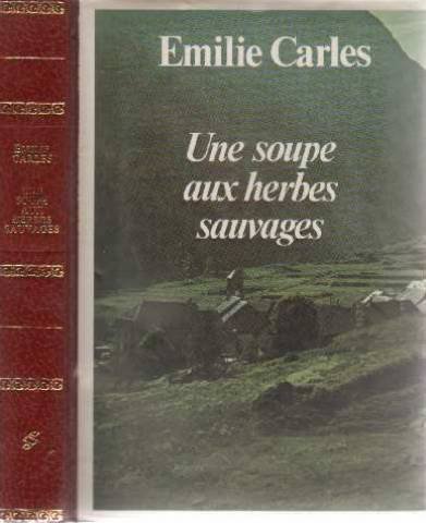 Une  Soupe aux herbes sauvages