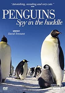 Amazon Com Penguins Spy In The Huddle Dvd Movies Tv Amazon Com Penguins Spy In The Huddle Dvd Movies Tv