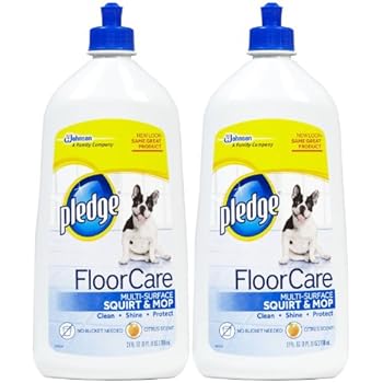 mop that squirts water