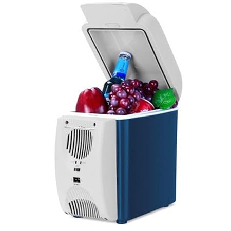 JWS Refrigerador del automóvil Silencio Inteligente Cool Box ...