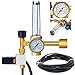 Co2 Regulator Hydroponics Emitter System with Solenoid Valve Accurate and Easy to Adjust Flow Meter Brass - Shorten up and Double Your Time for Harvesting