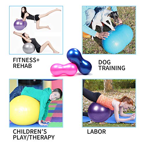 Wekin Physio Roll Therapy Fitness Peanut Ball for Balance, Labor Birthing, Muscle Tension, Pain Relief, Coordinate Development, Dog Training, Home Exercise & Yoga Programme