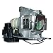 AuraBeam Professional Replacement Projector Lamp for BenQ 5J06001001 With Housing (Powered by Philips)