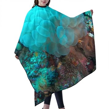 Amazon Com Beautiful Grape Corals In Aquarium Kids Haircut Capes