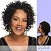 VIVICA A FOX Specialty Collection Synthetic Half Wig - HW390