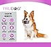 TruDog Calming Chews, Help with Dog Anxiety, Stress Relief, Separation, Barking, Sleeping, Travelling, Thunder, 60 Count
