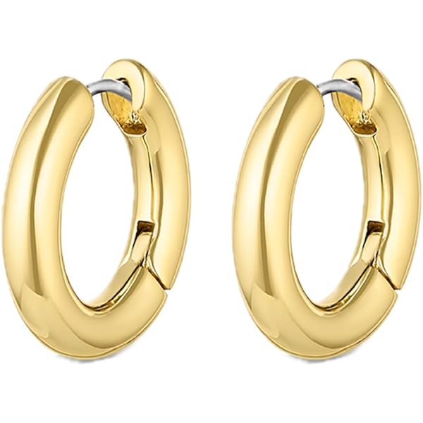 Amazon.com: Luv Aj XL Chain Link Hoop Earrings in Polished