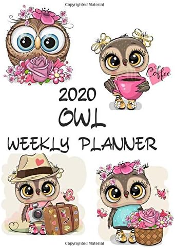 Owl Weekly Planner 2020: Owl Lover Gifts Idea For Men & Women - Cute Weekly Planner For Owl Lovers With To Do List & Notes Sections Paperback โ October 19, 2019