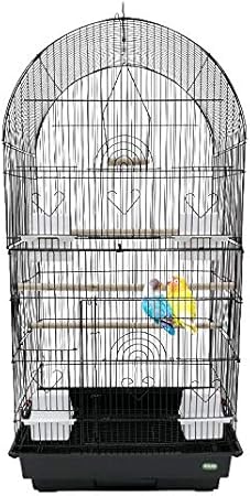 cage for two budgies