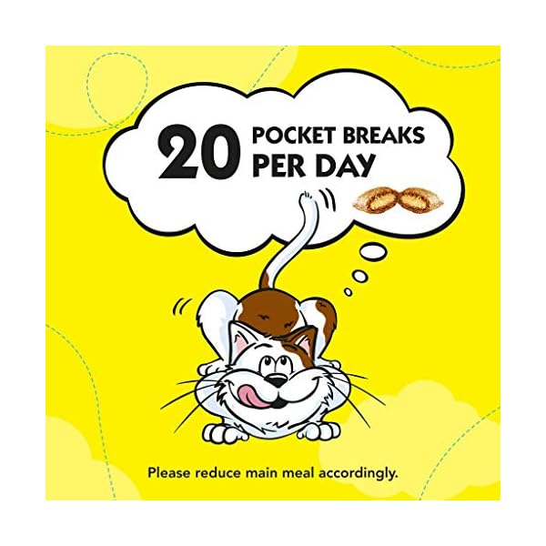 Dreamies Cat Treats Variety Pack, snacks with chicken, salmon flavour and cheese, 60 g (Pack of 12)