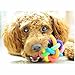 12 PCS Rainbow Bouncy Fidget Orbit Balls - Stress Relief Rubber Sensory Fiddle Squeeze Atom Toys - Ideal for Kids and Adults Party Favors