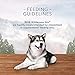 Blue Buffalo Wilderness Snake River Stix High Protein Grain Free Soft-Moist Dog Treats, with Trout, Venison & Rabbit 6-oz bag