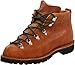 Danner Men's Mountain Trail Boot