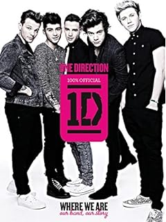 One Direction Who We Are Our Official Autobiography One - 
