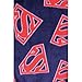 DC Comics Superman Mens Fleece Bathrobe Robe (One Size, Super Navy)