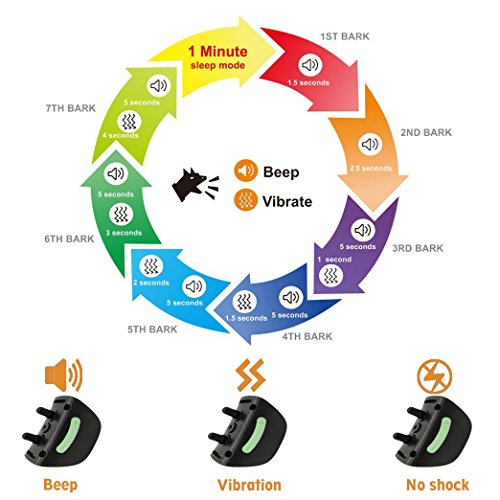 shock collar beeping noise