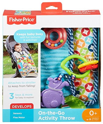 Fisher-Price On-The-Go Activity Throw