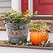 Metal Flower Pot Indoor and Outdoor Planters Galvanized Bucket - 2 Pack Garden Home Fall Decor for Halloween, 9 Inch, Silver