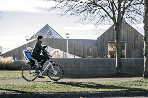 4 Thule+Yepp+Nexxt+Mini+Seat+Momentum