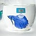 UPLY Aquarium Thermometer Digital Fish Tank Thermometer for Water Temperature