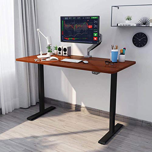 FLEXISPOT EC1 Electric Standing Desk Adjustable Height Small Desk Heavy