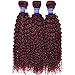 Red Wine Color Malaysian Deep Curl Hair 3 Bundles #99J Malaysian Kinky Curly Hair 100% Ombre Human Hair Extensions (16 18 20 inch, #99J)