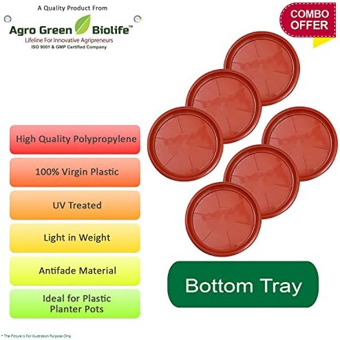 Green and Pure 10 Inch Bottom Tray | Saucer | Base Plate for Planters Pack of 6 - Brown Colour