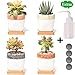 Potaroma Set of 3 Modern Planters (Snowflake_Pro)