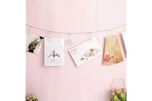 TFU Multi-Purpose Steel Wall Hanging Photo Display Cable Wire Rod String with 12 Clips for Hanging Photos Notes and Artworks (Heart Shape Clip)