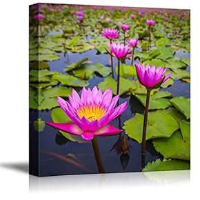 Beautiful Scenery Landscape Beauty Pink Lotus Flower Wall Decor