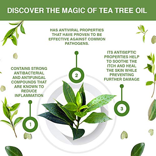 Keeva Organics Acne Treatment Cream With Secret TEA TREE OIL Formula - Perfect For Acne Scar Removal, Fighting Breakouts, Spots, Cystic Acne - See Results in Days Without Dry Skin (6oz)