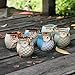 Weierken Mini 6PCS Owl Pot Ceramic Flowing Glaze Base Serial Set Succulent Plant Pot Cactus Plant Pot Valentine's Day Container Planter Bonsai Pots with A Hole, Christmas