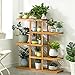 Magshion Wooden Flower Stands Plant Display Rack Choose 3 4 5 6 Shelf (5 Shelf)thumb 1