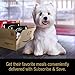 CESAR SAVORY DELIGHTS Pork Tenderloin, Roasted Potatoes & Green Beans Dog Food Trays (24), 3.5 oz. Trays