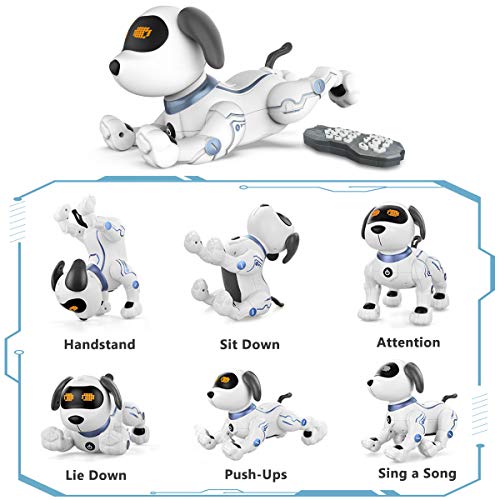 HBUDS Remote Control Robot Dog Toys for Kids, RC Stunt Programmable