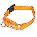 GOGO Pet Products Martingale Gentle Training Collar, Medium/Large, Orange