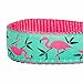 Blueberry Pet Essentials Pink Flamingo Dog Collar, Large, Neck 18-26
