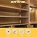 FANDAMEI 200 PCS 5mm Shelf Pins, Shelf Pegs, Metal Nickel Shelf Pins, Shelf Support Pegs, Cabinet Shelf Pegs, Shelf Pegs for Shelves, Shelf Pins 5mm, Spoon Shaped Cabinet Support Pegs Holder