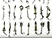OLIA DESIGN Set of 25 6.3