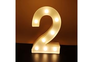 AUSAYE Led Light Up Numbers 2, Decorative Number Lights Sign for Night Light Wedding Décor Birthday Party Christmas Home Bar Decoration Led Number 2