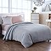 Royhom Duvet Cover for Weighted Blankets 48 x 72 Inches - Removable Weighted Blanket Cover - Soft Minky Dot, Gray
