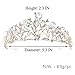 Yean Wedding Crown Bridal Tiaras with Earrings Headband for Women and Girls (Gold)
